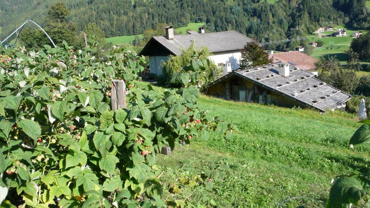 Apartmán Obergereuth Hof 1288 San Martino In Passiria  Exteriér fotografie