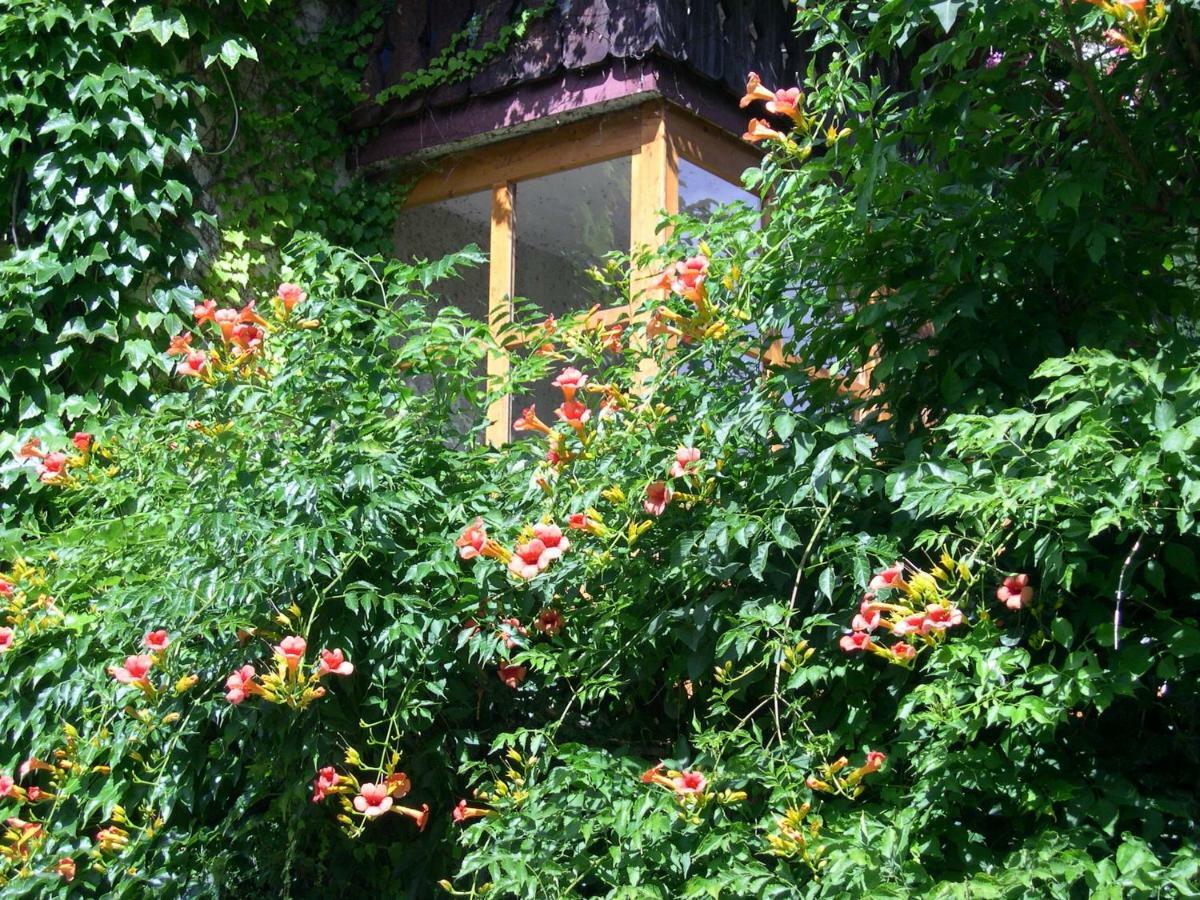 Apartmán Obergereuth Hof 1288 San Martino In Passiria  Exteriér fotografie